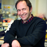 Moisés Mallo